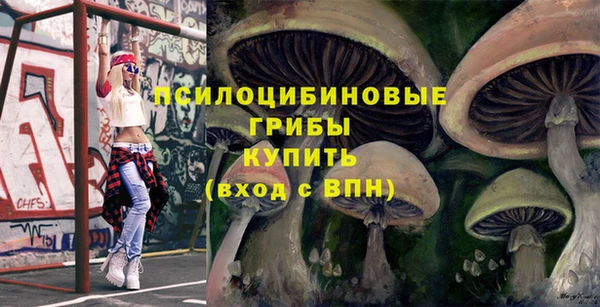 шишки Алексин