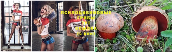 шишки Алексин