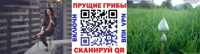дарнет шоп  Анжеро-Судженск  Галлюциногенные грибы MAGIC MUSHROOMS 